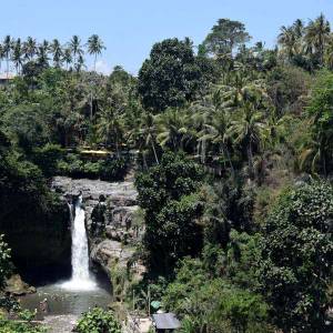 Half Day Ubud Waterfall Tour