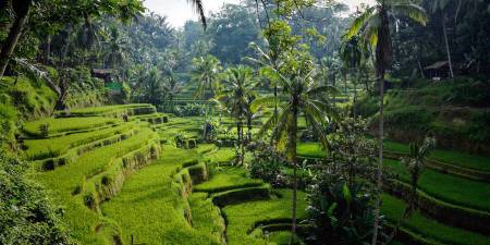 Bali Full Day Tour is journey to explore this beauty of the Bali islands by offer you one day trip to visit culture, art and scenic panorama view with many option tour packages can be choosenTour Category