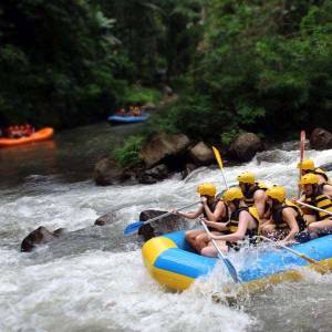 Ayung Rafting And Ubud Tour