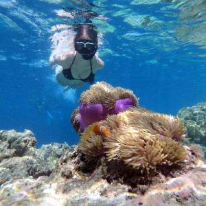 Snorkeling