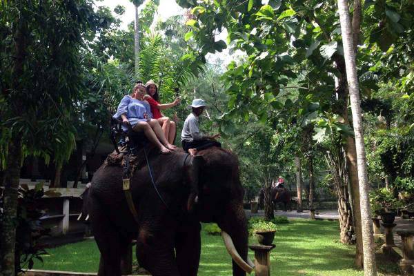 Bali Elephant Riding Tour